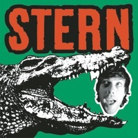 Image of Adrian Stern linking to their artist page due to link from them being at the top of the main table on this page