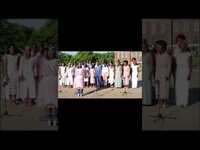 Thumbnail for the The Kingdom Choir - Steve Harvey Show! link, provided by host site