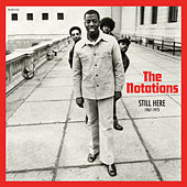 Thumbnail for the The Notations - Still Here: 1967-1973 link, provided by host site