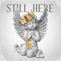 Thumbnail for the Mike Sherm - Still Here link, provided by host site