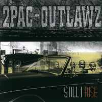 Thumbnail for the 2Pac - Still I Rise link, provided by host site