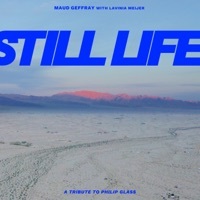 Thumbnail for the Maud Geffray - Still Life link, provided by host site