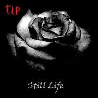 Thumbnail for the T.I.P - Still Life link, provided by host site