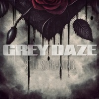 Thumbnail for the Grey Daze - Still Screaming link, provided by host site