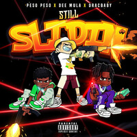 Thumbnail for the Peso Peso - Still Slidin link, provided by host site