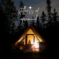 Thumbnail for the Jeffrey Osborne - Stillness Of Openmind link, provided by host site