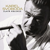 Thumbnail for the Petr Muk - Stín Katedrál link, provided by host site