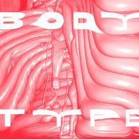 Thumbnail for the Body Type - Stingray link, provided by host site