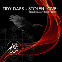 Thumbnail for the Tidy Daps - Stolen Love link, provided by host site