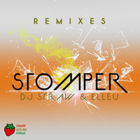 Thumbnail for the DJ Straw - Stomper (Remixes) link, provided by host site