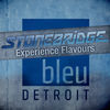 Thumbnail for the StoneBridge - StoneBridge Experience Flavours Detroit link, provided by host site