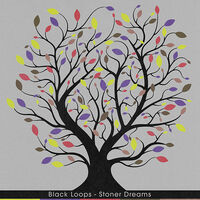 Thumbnail for the Black Loops - Stoner Dreams link, provided by host site