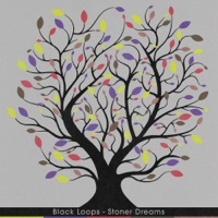 Thumbnail for the Black Loops - Stoner Dreams link, provided by host site