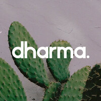 Thumbnail for the Dharma - Stoney link, provided by host site