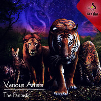 Thumbnail for the DJ Entwan - Stoops - AngelLopez Remix link, provided by host site