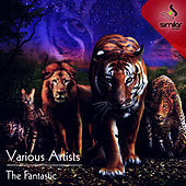 Thumbnail for the DJ Entwan - Stoops (AngelLopez Remix) link, provided by host site