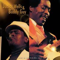 Thumbnail for the Buddy Guy - Stop Breakin' Down link, provided by host site