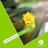 Thumbnail for the Hardo - Story Day link, provided by host site