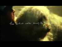Thumbnail for the M. Ward - "story of an artist" (Full Album Stream) link, provided by host site