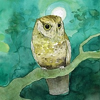 Thumbnail for the Sleeping At Last - Storyboards link, provided by host site