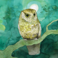 Thumbnail for the Sleeping At Last - Storyboards link, provided by host site