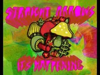 Thumbnail for the Spod - Straight Arrows - It's Happening - November 19th 2010 link, provided by host site