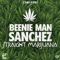 Thumbnail for the Beenie Man - Straight Marijuana link, provided by host site