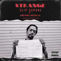 Image of Slip Capone linking to their artist page due to link from them being at the top of the main table on this page