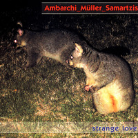 Thumbnail for the Oren Ambarchi - Strange Love link, provided by host site