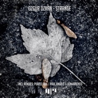 Thumbnail for the Ozgur Ozkan - Strange (Paul Angelo & Don Argento Remix) link, provided by host site