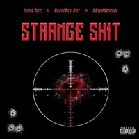 Thumbnail for the Yung Ricc - Strange S**t link, provided by host site