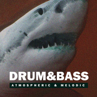 Thumbnail for the Lazarus - Strange Song - Original Mix link, provided by host site