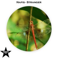 Thumbnail for the Nafis - Stranger link, provided by host site