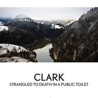 Thumbnail for the Clark - Strangled To Death In A Public Toilet link, provided by host site