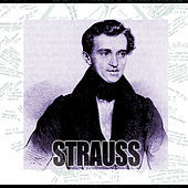 Thumbnail for the Johan Schultz - Strauss link, provided by host site