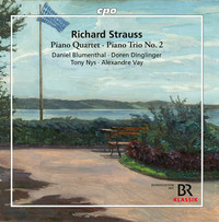Thumbnail for the Richard Strauss - Strauss: Piano Quartet in C Major, Op. 13, TrV 137 & Piano Trio No. 2 in D Major, TrV 71 link, provided by host site