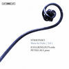 Thumbnail for the Ilya Gringolts - Stravinsky: Music for Violin, Vol. 1 link, provided by host site