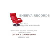 Thumbnail for the Funky Junction - Strawberry Jam - Sergei Fleishaman & Tsyrin Alexander Remix link, provided by host site