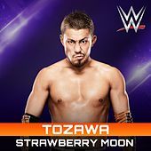 Thumbnail for the CFO$ - Strawberry Moon (Tozawa) link, provided by host site
