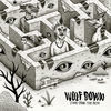 Thumbnail for the WOLF DOWN - Stray from the Path link, provided by host site