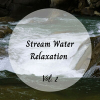 Thumbnail for the Best Relaxing SPA Music - Stream Water Relaxation Vol. 2 link, provided by host site