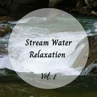 Thumbnail for the Best Relaxing SPA Music - Stream Water Relaxation Vol. 2 link, provided by host site