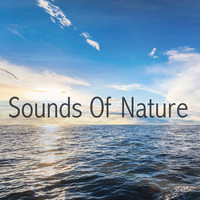 Thumbnail for the Ocean Sounds - Streaming Waves link, provided by host site