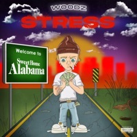 Thumbnail for the Woodz - Stress link, provided by host site