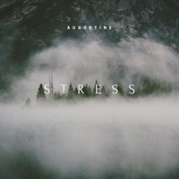 Thumbnail for the Augustine - Stress link, provided by host site
