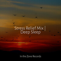 Thumbnail for the Yoga - Stress Relief Mix | Deep Sleep link, provided by host site