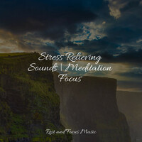 Thumbnail for the Spa Music Collective - Stress Relieving Sounds | Meditation Focus link, provided by host site