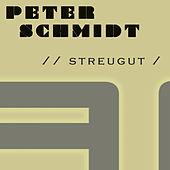 Thumbnail for the Peter Schmidt - Streugut link, provided by host site