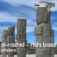 Thumbnail for the D-Rashid - Striders link, provided by host site