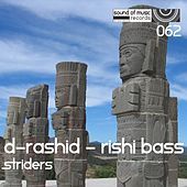 Thumbnail for the D-Rashid - Striders link, provided by host site
